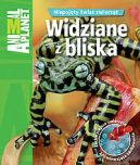 Okadka - Widziane z bliska