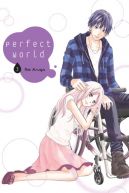 Okadka ksizki - Perfect World #3