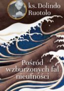 Okadka - Pord wzburzonych fal nieufnoci