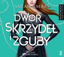 Okadka - Dwr Cierni i R (#3). Dwr skrzyde i zguby. Audiobook