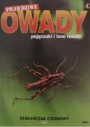 Okadka ksizki - Szaraczak czerwony