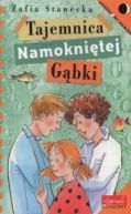 Okadka - Tajemnica Namoknitej Gbki