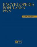 Okadka ksizki - Encyklopedia Popularna PWN