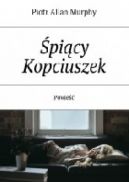 Okadka - picy Kopciuszek