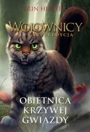 Okadka - Obietnica Krzywej Gwiazdy