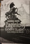 Okadka - Zaginiony Grny lsk. Paace, ktrych ju nie zobaczysz