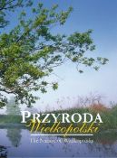 Okadka - Przyroda Wielkopolski