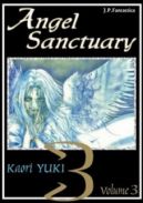 Okadka - Angel Sanctuary #3