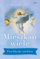 Okadka - Mieszka wiele. Przebyski niebios