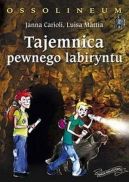 Okadka - Tajemnica pewnego labiryntu