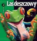 Okadka - Las deszczowy