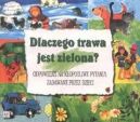 Okadka - Dlaczego trawa jest zielona?