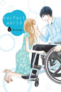 Okadka ksiki - Perfect World #4