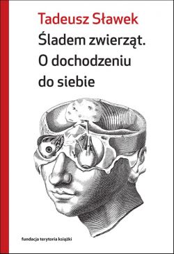 Okadka ksiki - ladem zwierzt. O dochodzeniu do siebie