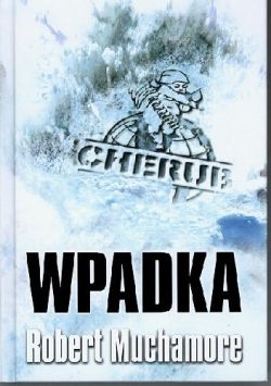 Okadka ksiki - Wpadka