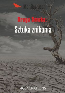 Okadka ksiki - Sztuka znikania