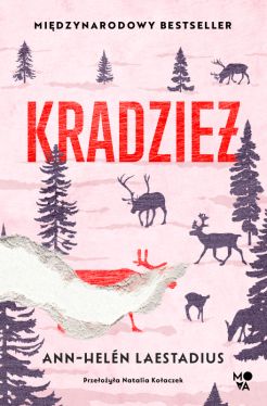 Okadka ksiki - Kradzie