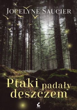 Okadka ksiki - Ptaki paday deszczem