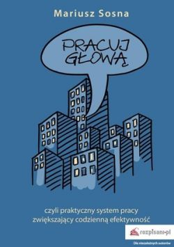 Okadka ksiki - Pracuj gow, czyli praktyczny system pracy zwikszajcy codzienn efektywno