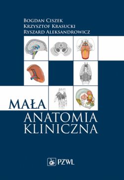 Okadka ksiki - Maa anatomia kliniczna