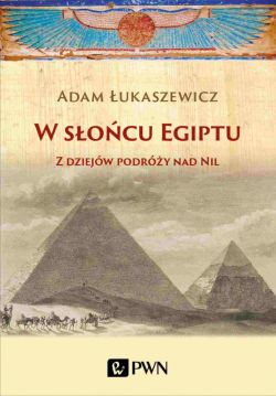 Okadka ksiki - W socu Egiptu. Z dziejw podry nad Nil