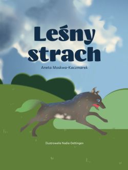 Okadka ksiki - Leny strach