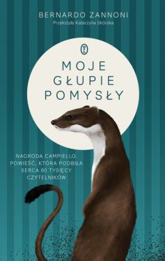 Okadka ksiki - Moje gupie pomysy