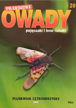 Okadka ksiki - Pluskwiak ctkoskrzydy