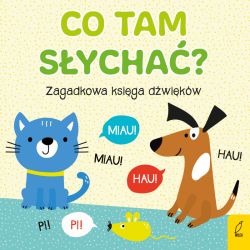 Okadka ksiki - Co tam sycha? Zagadkowa ksiga dwikw