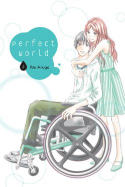 Okadka ksiki - Perfect World #2