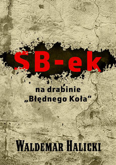 Okadka ksiki - SB-ek na drabinie „Bdnego koa”