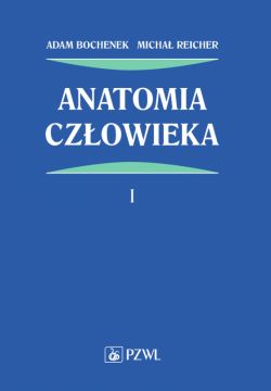 Okadka ksiki - Anatomia czowieka. Tom 1