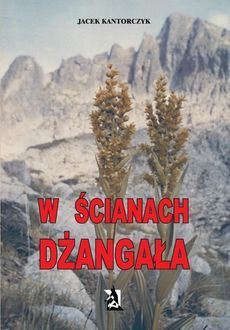 Okadka ksiki -  W cianach Dangaa