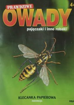 Okadka ksiki - Klecanka papierowa