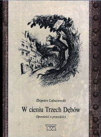 Okadka ksiki - W cieniu Trzech Dbw : opowieci o przeszoci