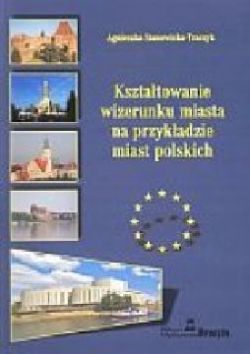 Okadka ksiki - Ksztatowanie wizerunku miasta na przykadzie miast polskich