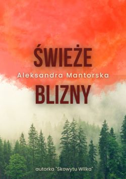 Okadka ksiki - wiee blizny