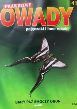 Okadka ksiki - Biay pa smoczy ogon