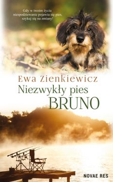 Okadka ksiki - Niezwyky pies Bruno