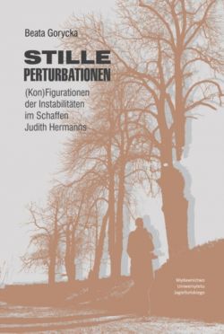 Okadka ksiki - Stille Perturbationen. (Kon)Figurationen der Instabilitten im Schaffen Judith Hermanns