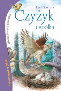 Okadka ksiki - Czyyk i spka