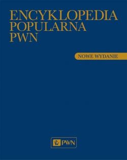 Okadka ksiki - Encyklopedia Popularna PWN