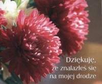 Okadka ksiki - Pereka 182 - Dzikuj, e znalaze si na mojej drodze