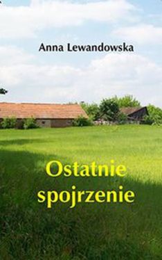 Okadka ksiki - Ostatnie spojrzenie 