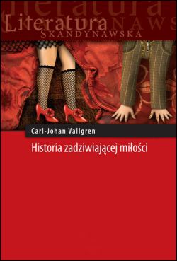 Okadka ksiki - Historia zadziwiajcej mioci