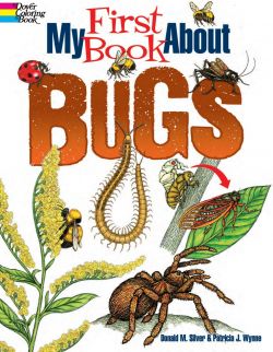 Okadka ksiki - My first book about bugs