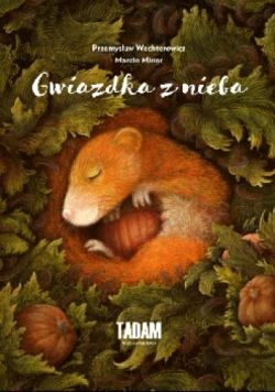 Okadka ksiki - Gwiazdka z nieba