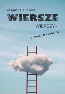 Okadka ksiki - Wiersze, wierszyki i inna grafomania