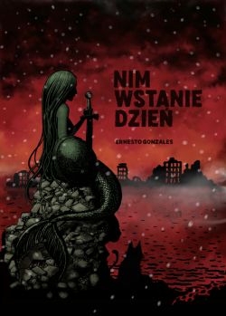 Okadka ksiki - Nim wstanie dzie