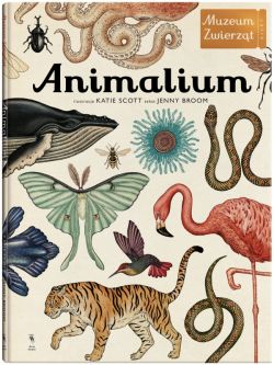 Okadka ksiki - Animalium. Muzeum zwierzt